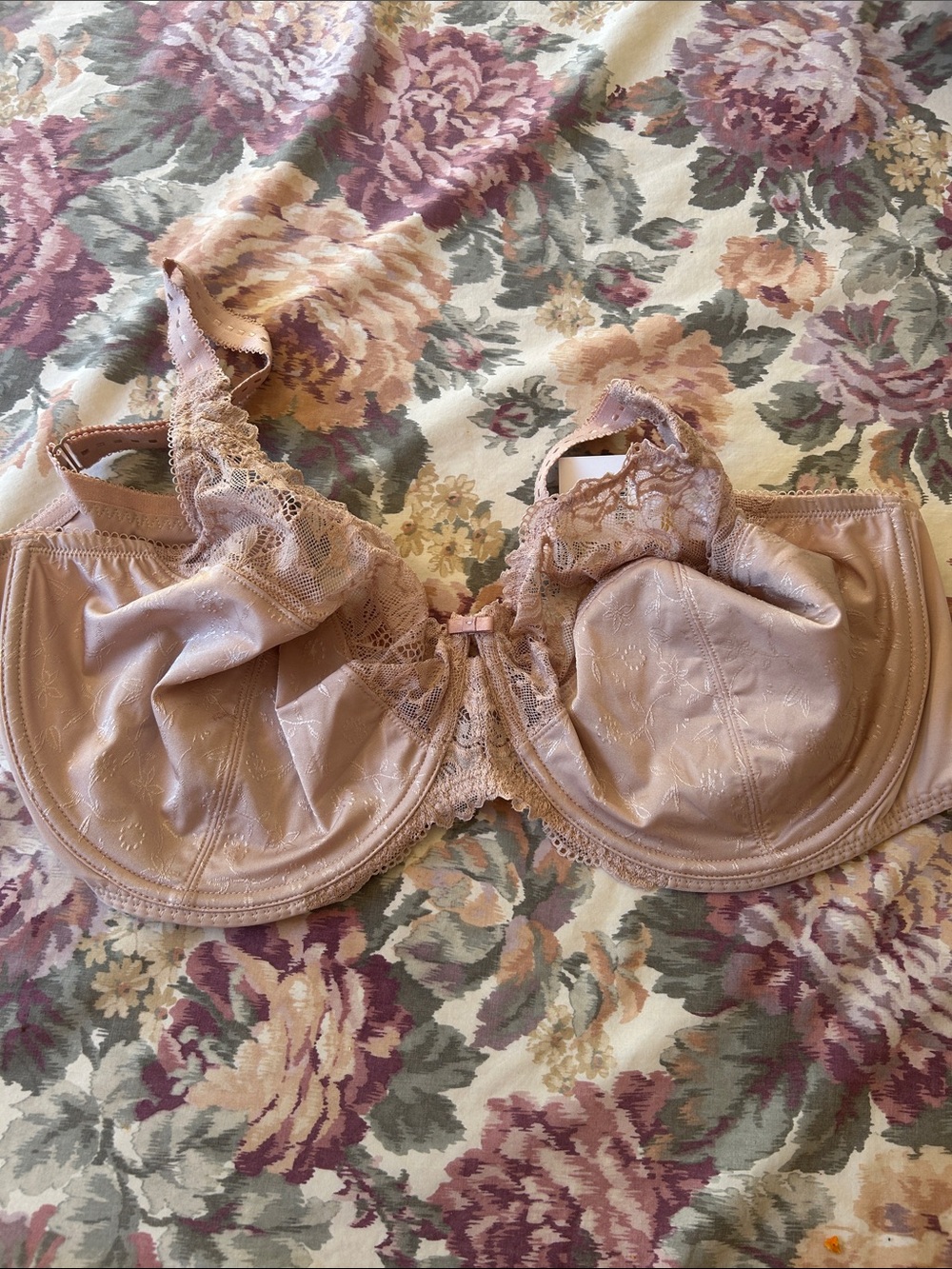 NWT DELIMIRA Plus Size Full Coverage Underwire Unlined Minimizer Lace Bra 38J